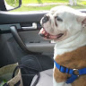 Meet your Posher, Carie